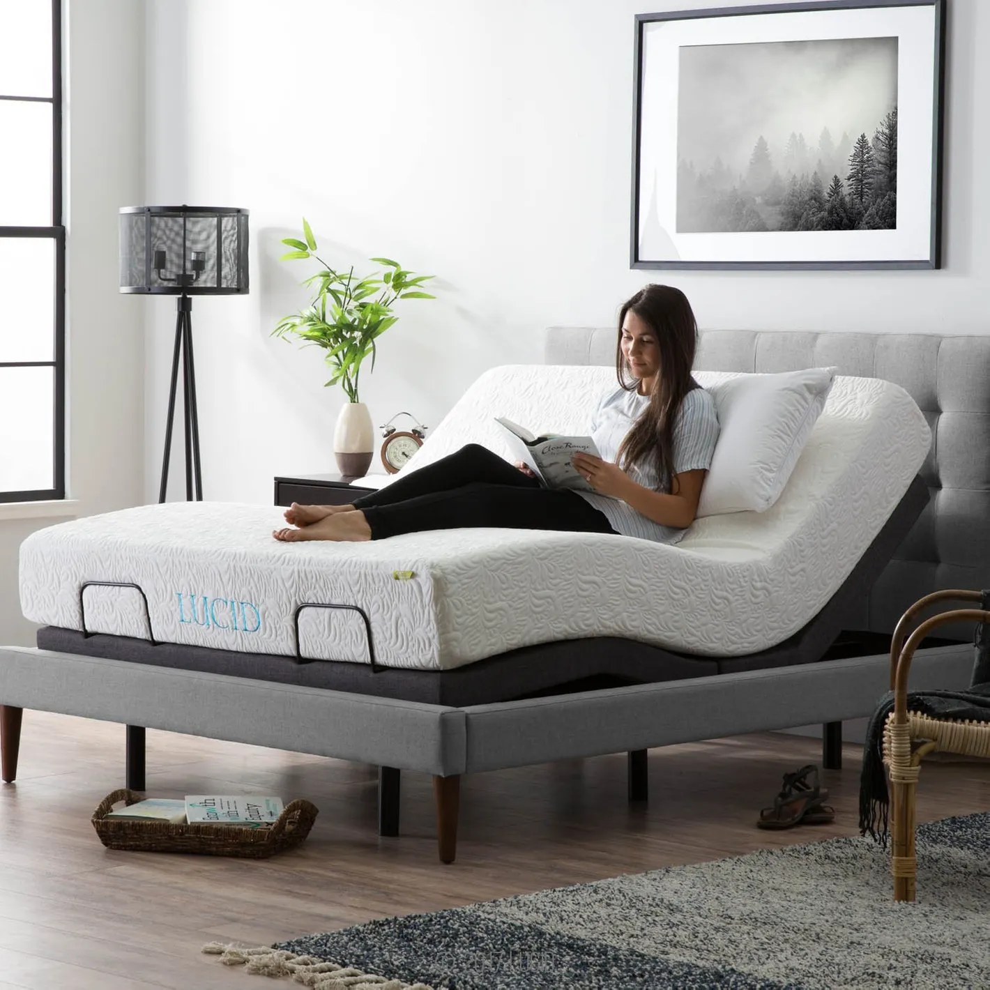 adjustable bed bases