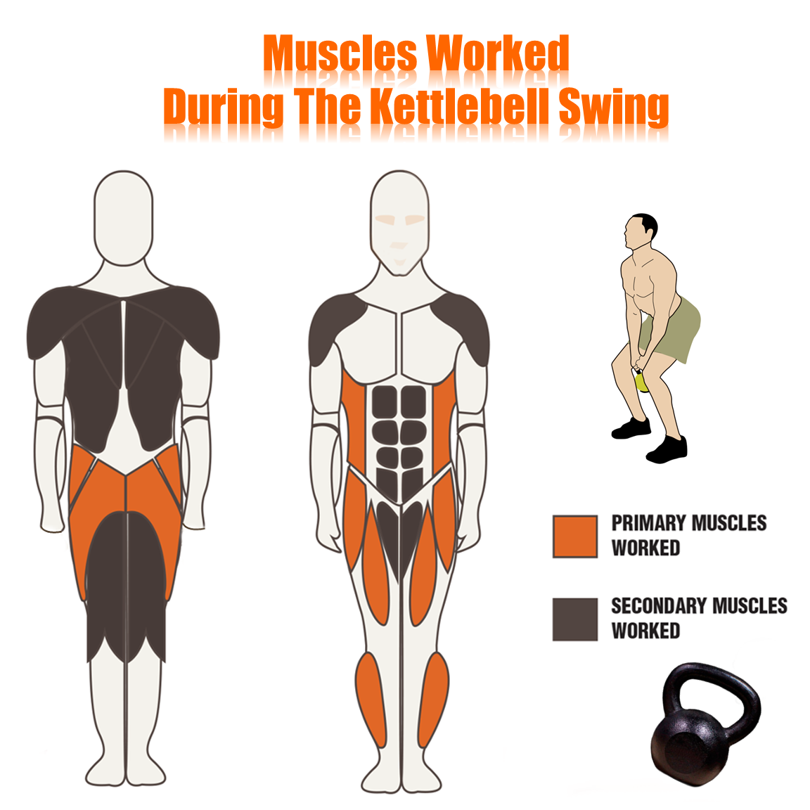 Muscle activation diagram showing primary and secondary muscles worked during the kettlebell swing exercise