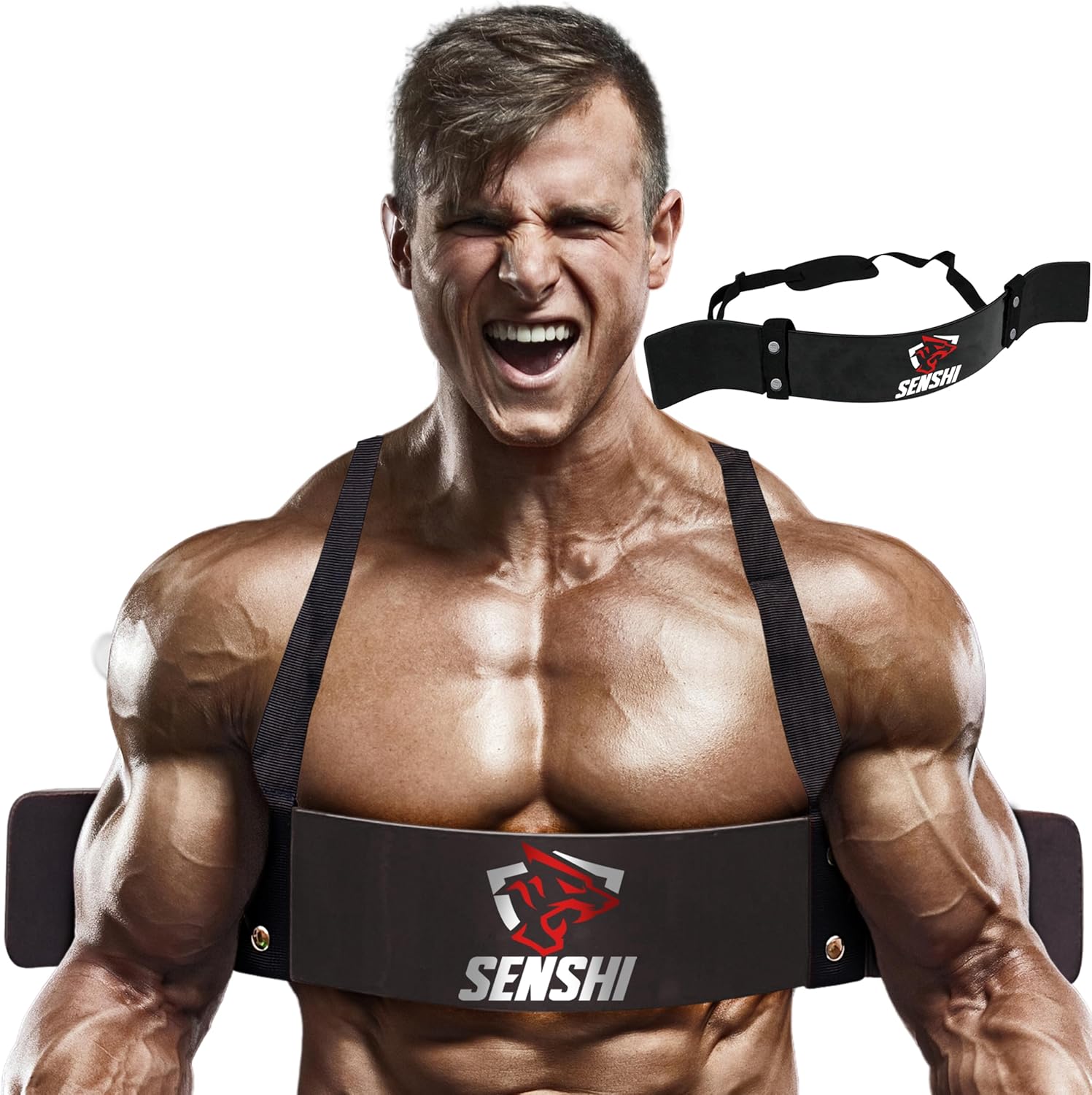 Senshi Japan Arm Blaster Biceps Isolator Strap, Triceps & Biceps Isolating Bar For Bodybuilding, Weight Lifting, Curls, Pushdowns, Preacher Curls With Adjustable Strap